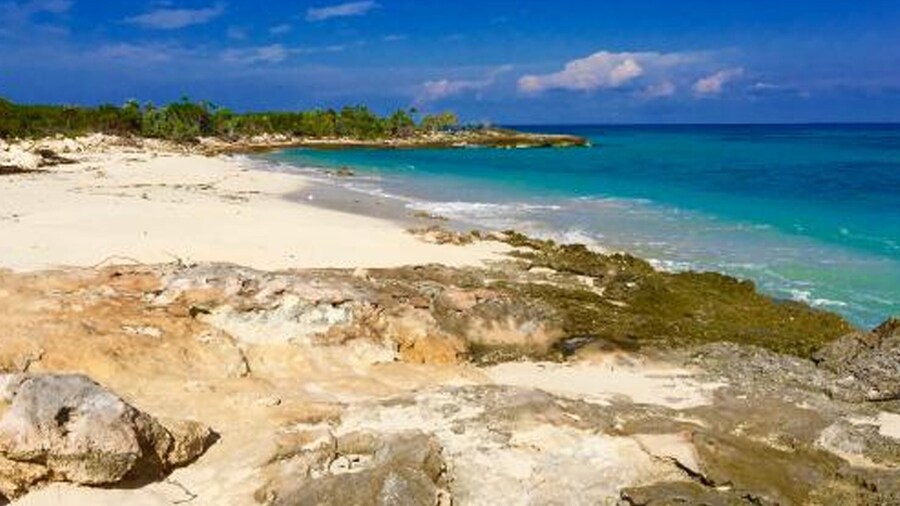 Chesters Bonefish Lodge