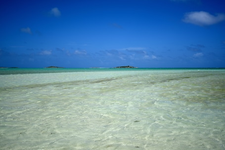 Vista da propriedade