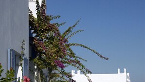 Exterior - Kalypso Studios & Apartments (Paros)
