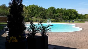 Outdoor pool, sun loungers