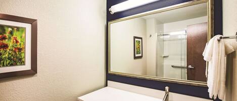 A bathroom with a white sink, a large mirror with a gold frame, and a framed picture of flowers on the wall.