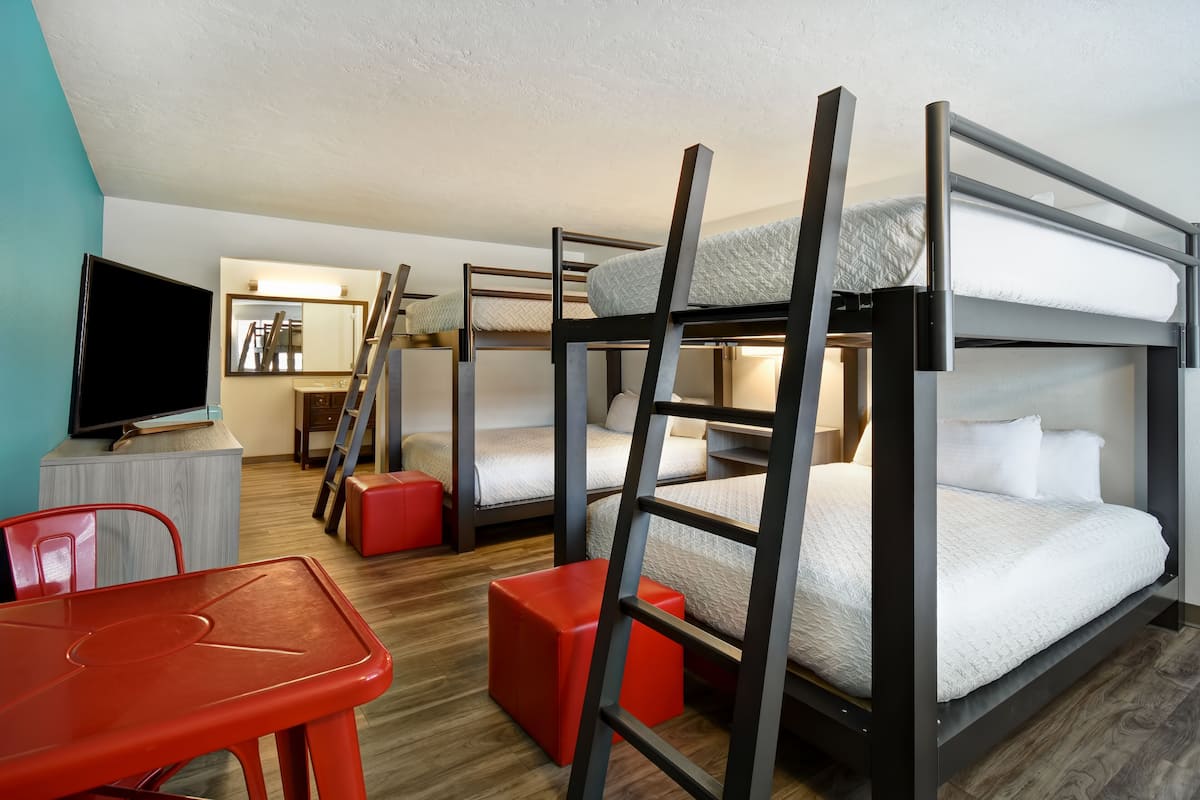 A bunk bed room with a TV, a desk, and a ladder.