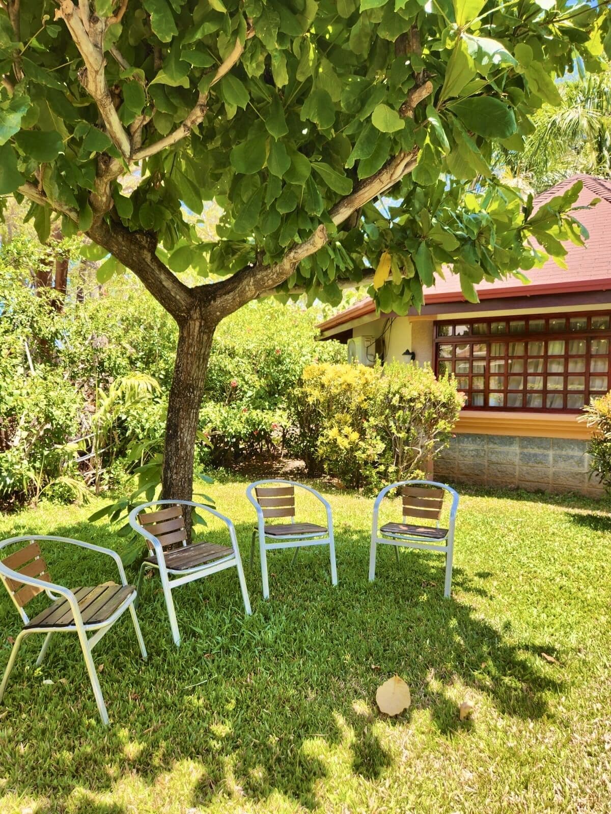 Ein Sitzbereich im Freien mit Bäumen, Metallstühlen und einem Gebäude im Hintergrund.