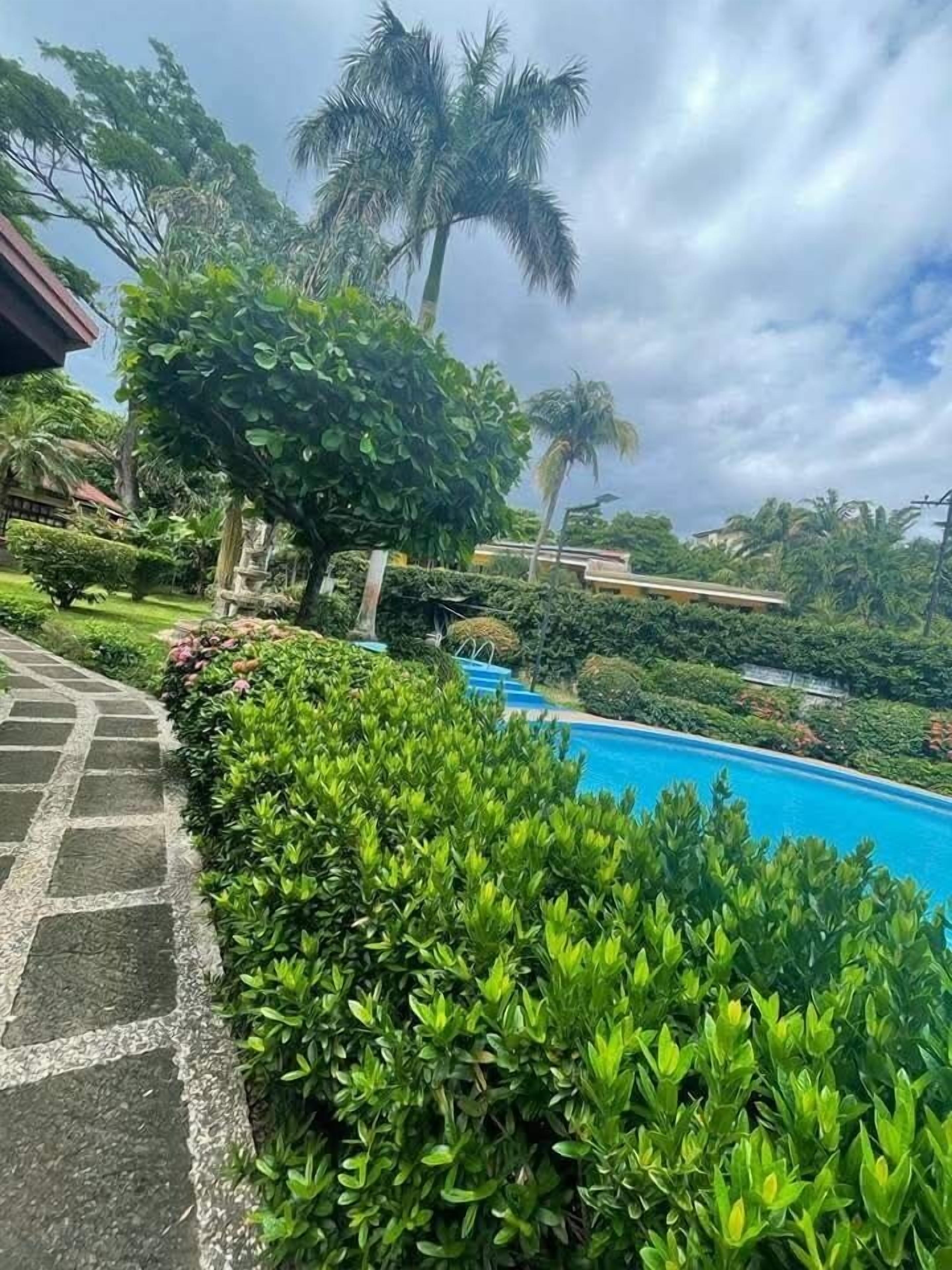 A swimming pool surrounded by lush greenery and palm trees.