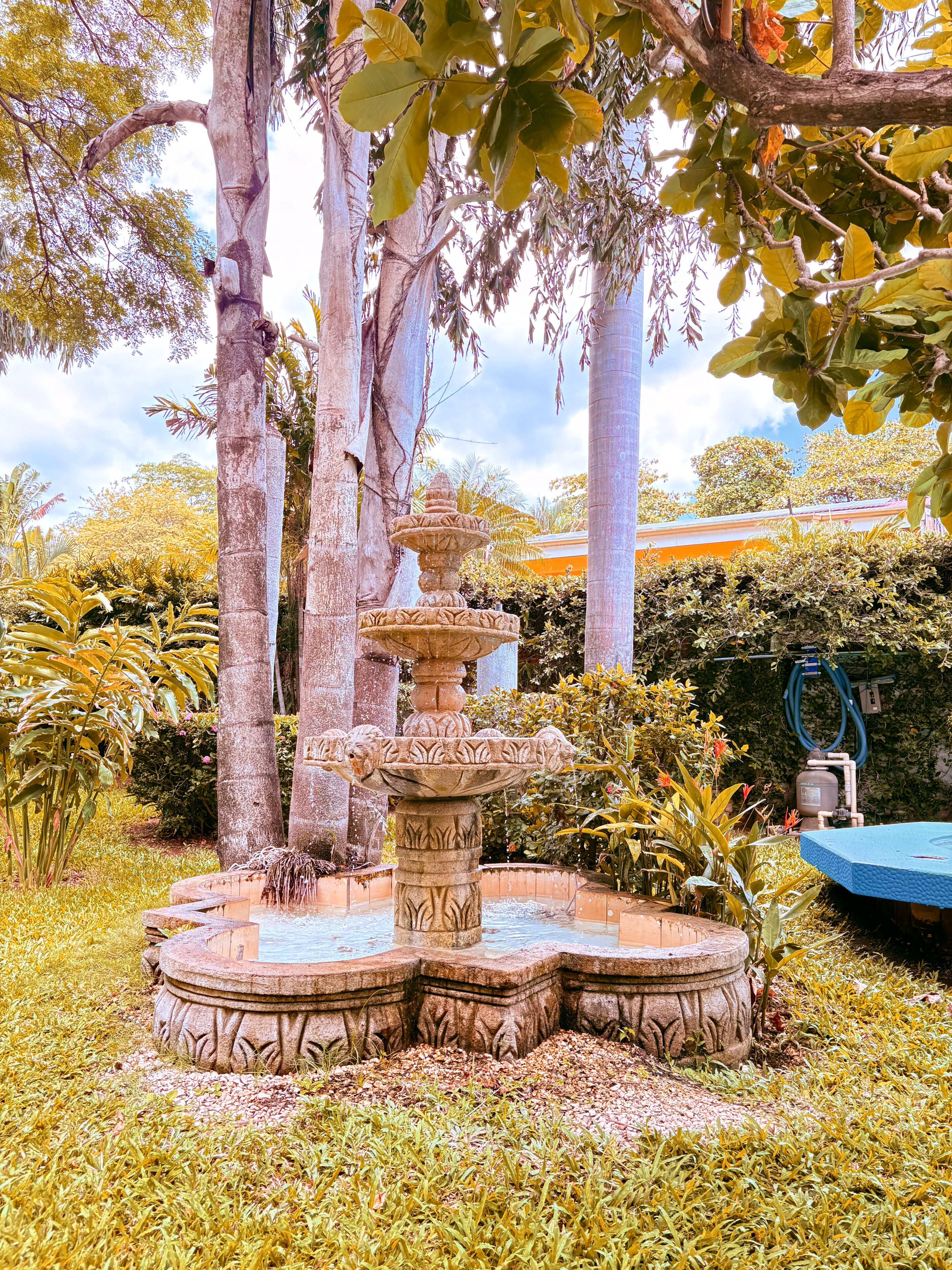 fountain