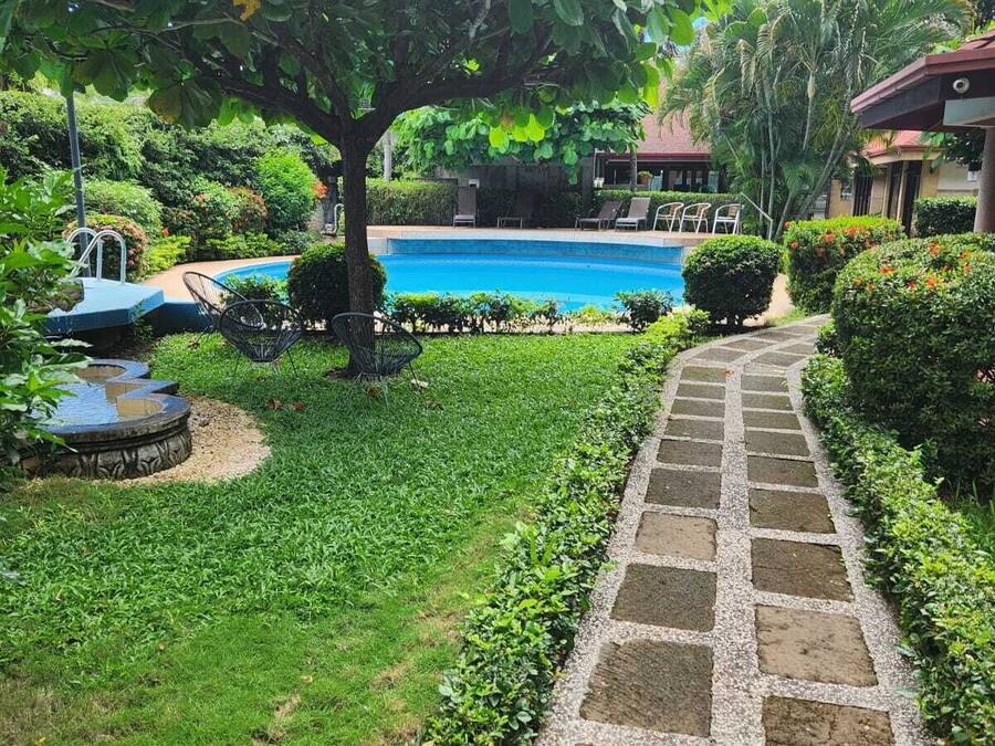 A swimming pool with a stone pathway leading to it, surrounded by lush greenery and a tree providing shade.