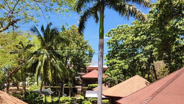 Un sendero que lleva a un edificio con techo rojo, rodeado de abundante vegetación y palmeras.