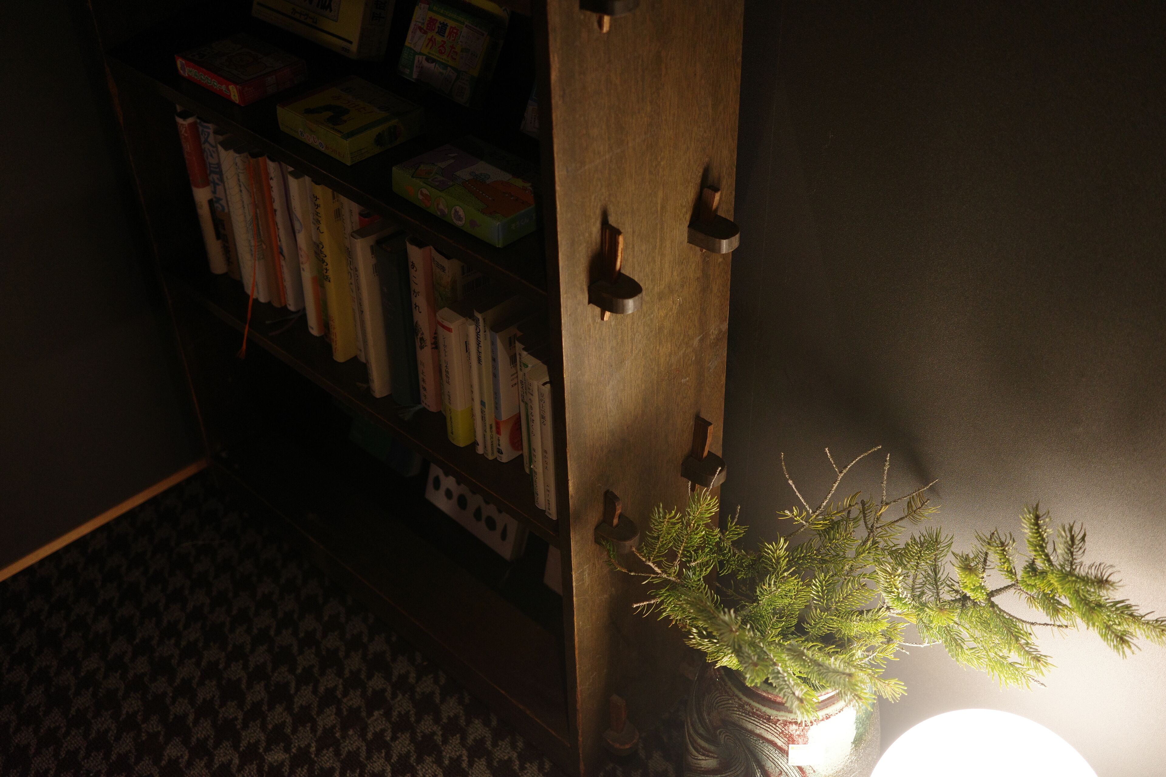 A bookshelf with books and a potted plant.