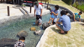 庭院