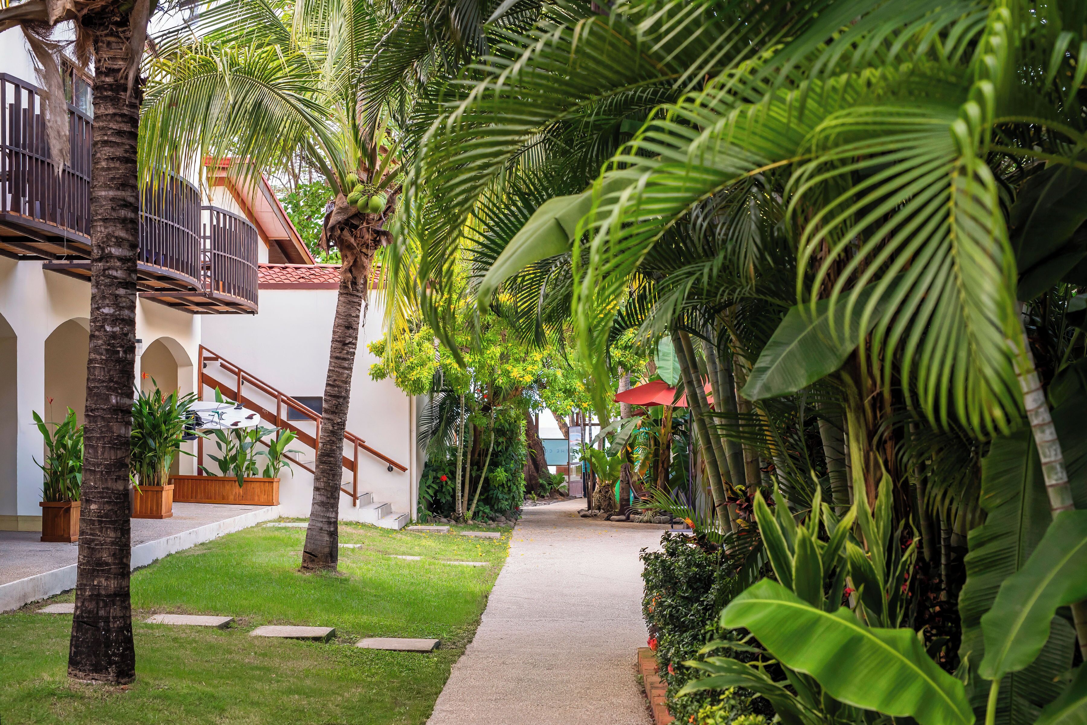 Foto - The Coast Beachfront Hotel