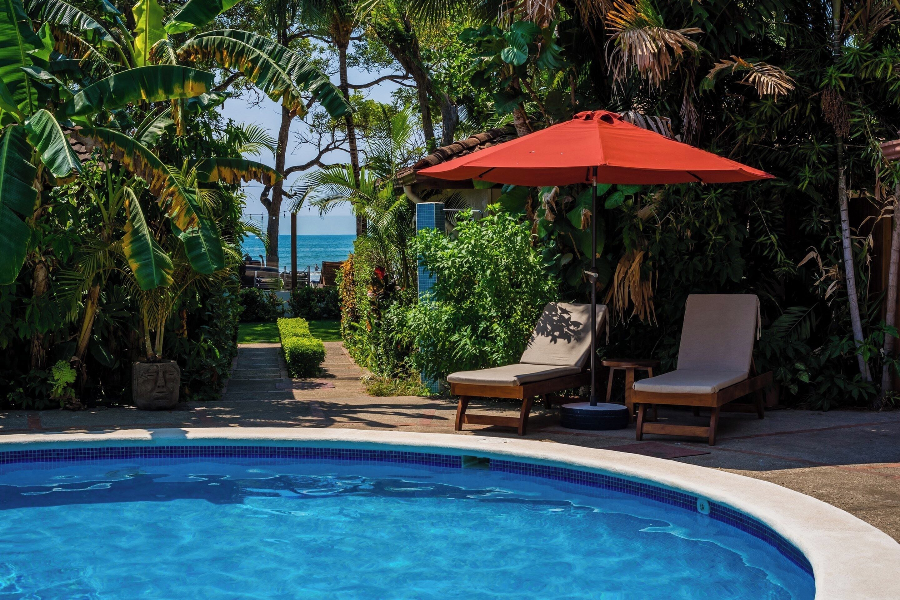Piscine extérieure, parasols de plage, chaises longues