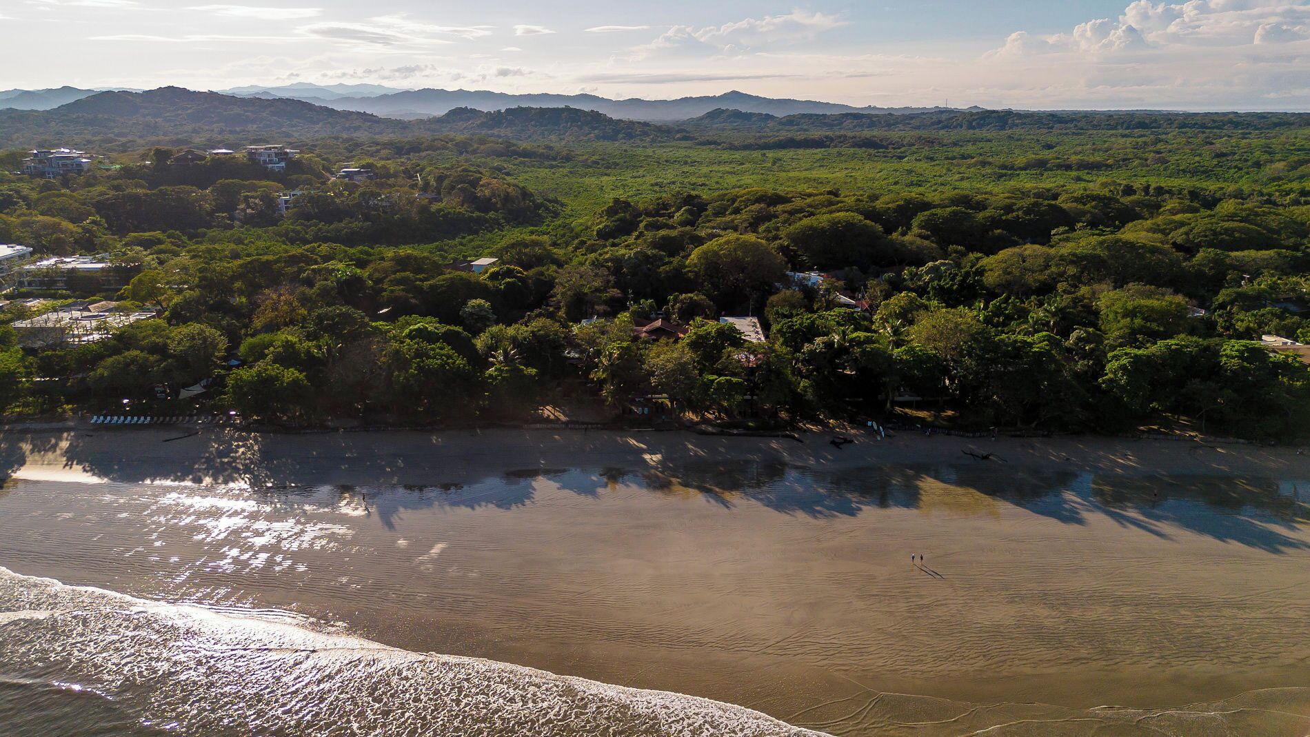 A river with a sandy beach and a forested area in the background.