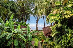 A tropical garden with a pathway leading to a beach. - The Coast Beachfront Hotel (Tamarindo)