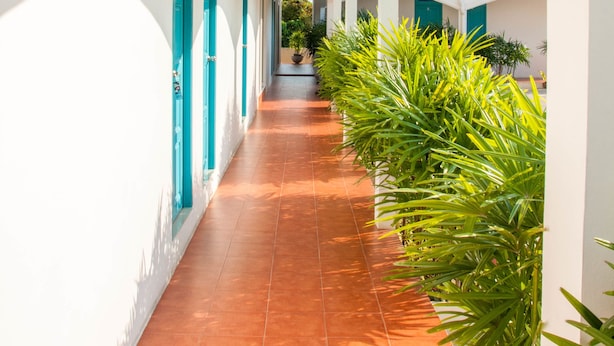 Un couloir doté d’un sol carrelé, de portes de couleur turquoise et de plantes en pot.