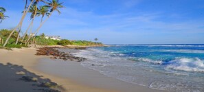 Vue depuis l’hébergement