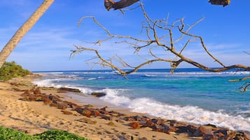 På stranden