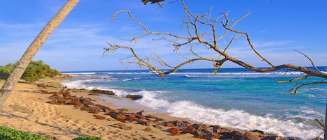 Sulla spiaggia