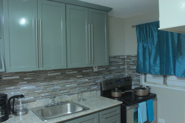 Design appartement, 2 slaapkamers, uitzicht op de stad, hoek | Privékeuken | Een koelkast met diepvriezer, een microgolfoven, een oven, een kookplaat