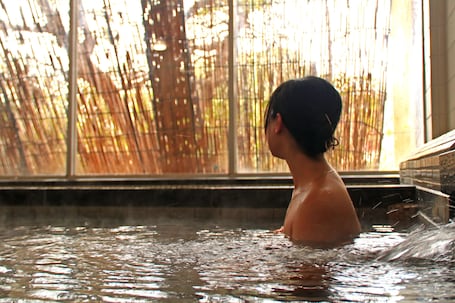 Hot springs. Masuya Ryokan