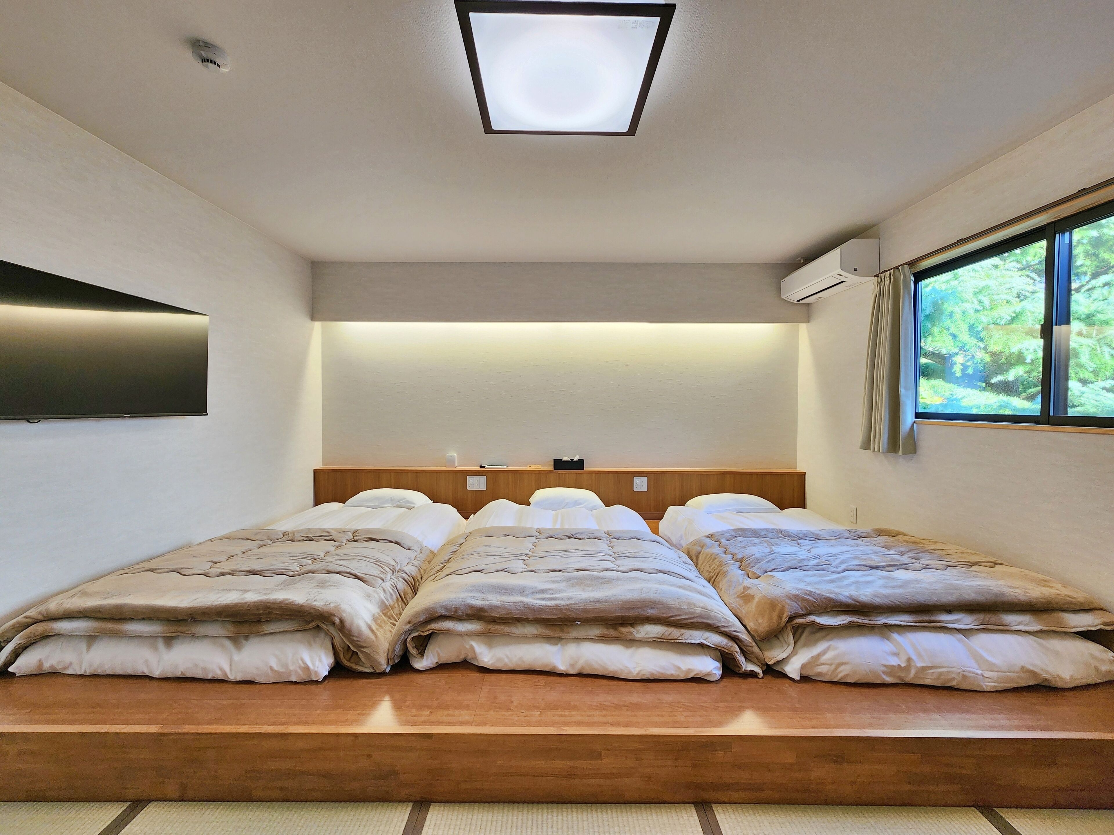 ベーシック ルーム 禁煙 | セーフティボックス (室内)、WiFi (無料)