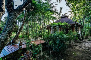 Wooden Cottage | Vistas desde la habitación