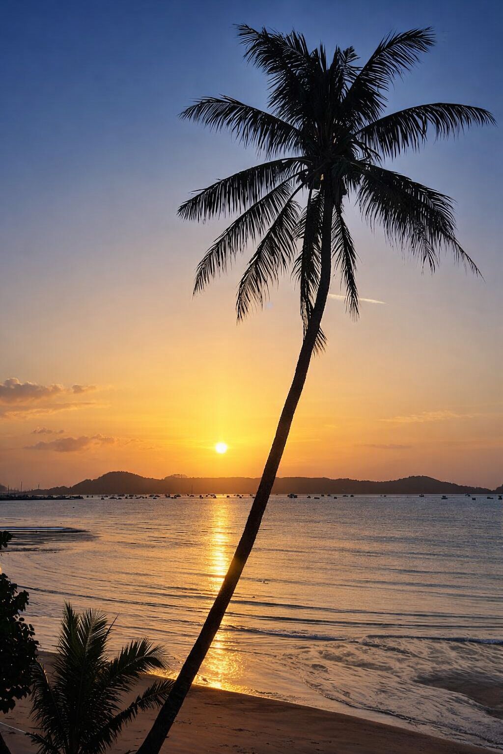 A sunset over a beach with a palm tree in the foreground.