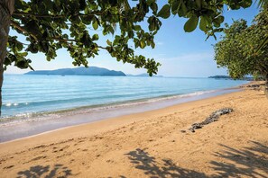 A beach with clear blue water, sandy shore, and a tree with green leaves. - Fisherman Way Beach Villa (Rawai)