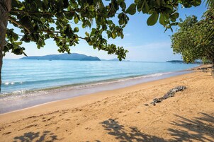 A beach with clear blue water, sandy shore, and a tree with green leaves.