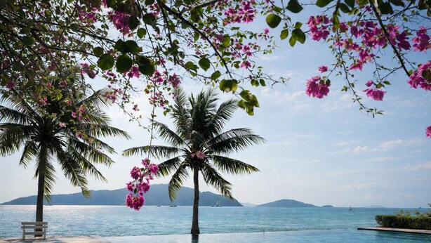 Zona junto a la piscina con dos palmeras y flores rosadas, con vista a un mar tranquilo y montañas a lo lejos.