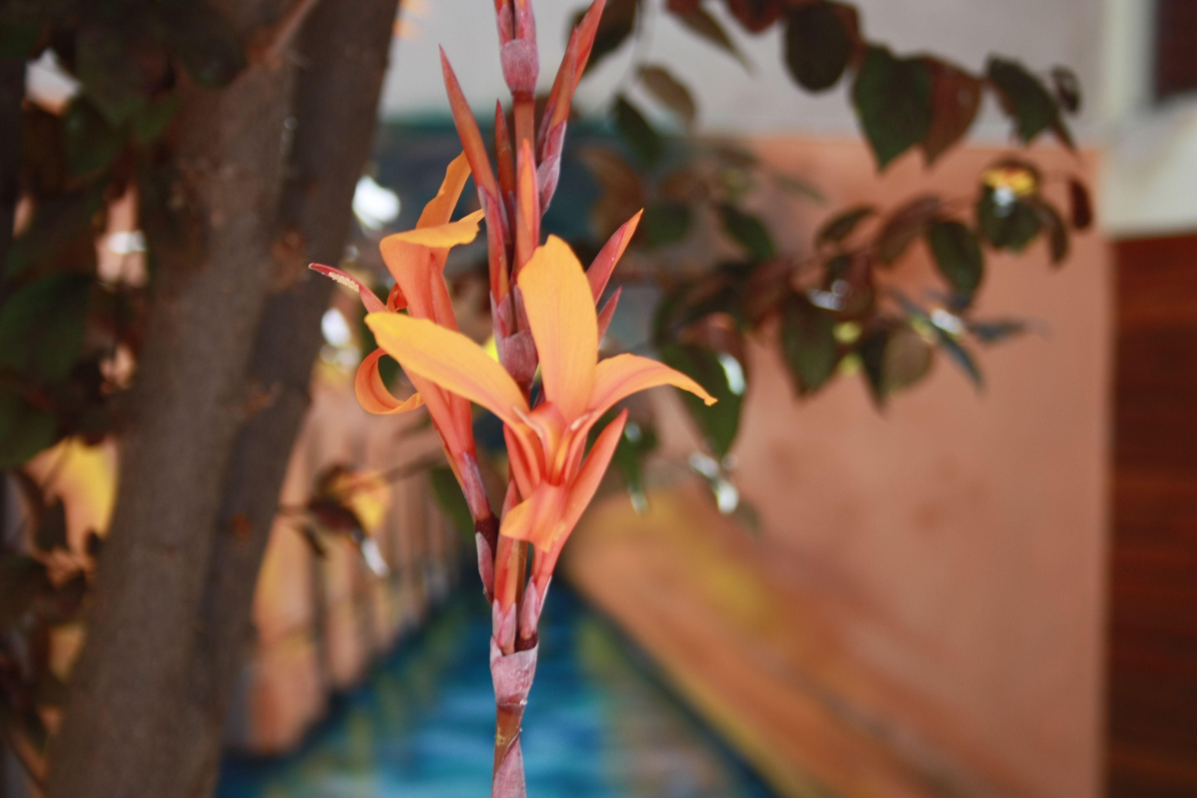 Foto - B&B "Domus Atilia"