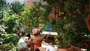 Variedad de plantas en macetas y macetas de barro en un espacio exterior.