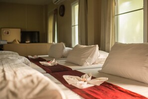 Minibar, Wi-Fi gratuit