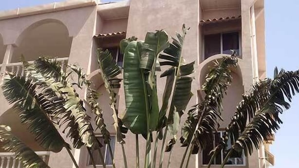 A building with a balcony and large windows. - Residence Diane (Ouagadougou)