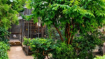 Un jardin luxuriant, avec une grande variété de plantes et d’arbres, un chemin bordé de carreaux et un espace clos où se trouve une cage à oiseaux.