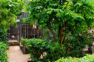 Un jardín exuberante con diversas plantas y árboles, un sendero empavedado y un área cercada con una jaula para pájaros.