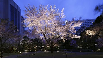 A park with cherry blossoms, a pathway, and a building in the background.