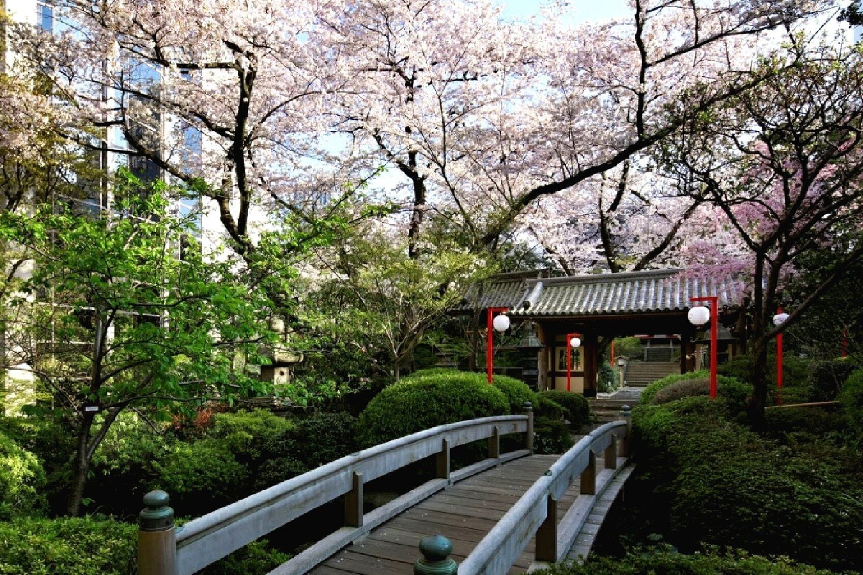 花 园