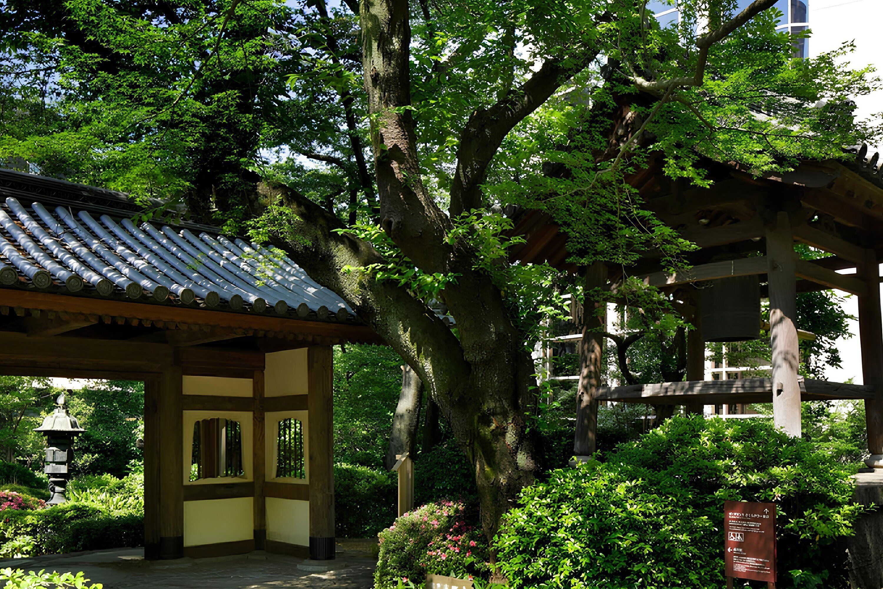 Un bâtiment japonais traditionnel, doté d’un toit recouvert de tuiles, entouré d’une végétation luxuriante et d’un grand arbre.