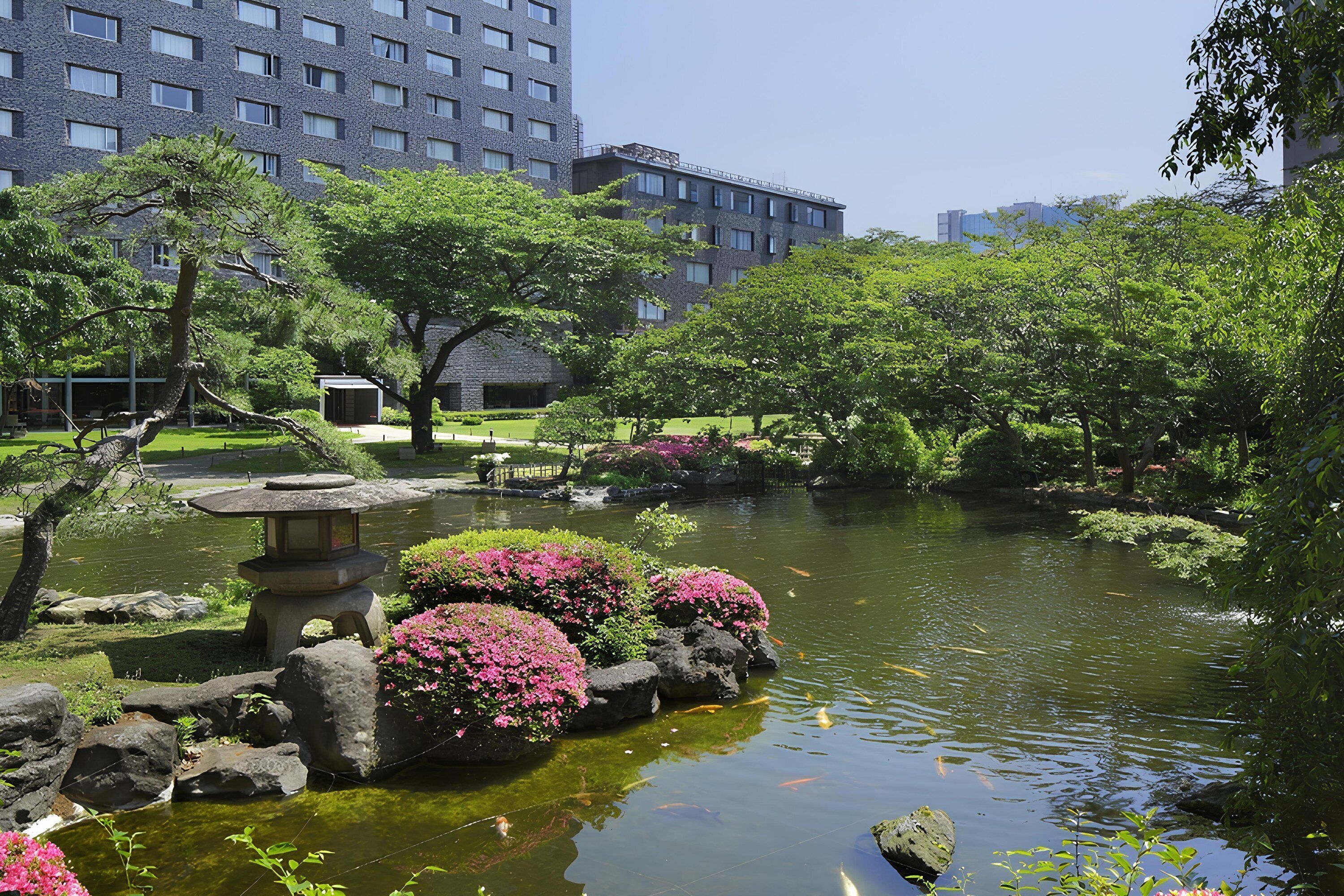 A serene garden with a pond, rocks, and pink flowering plants.