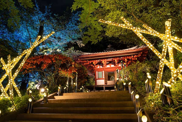 Jardim japonês