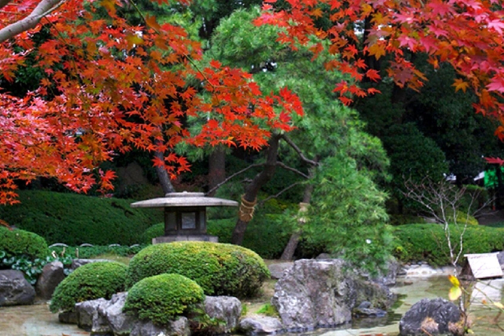 Jardin