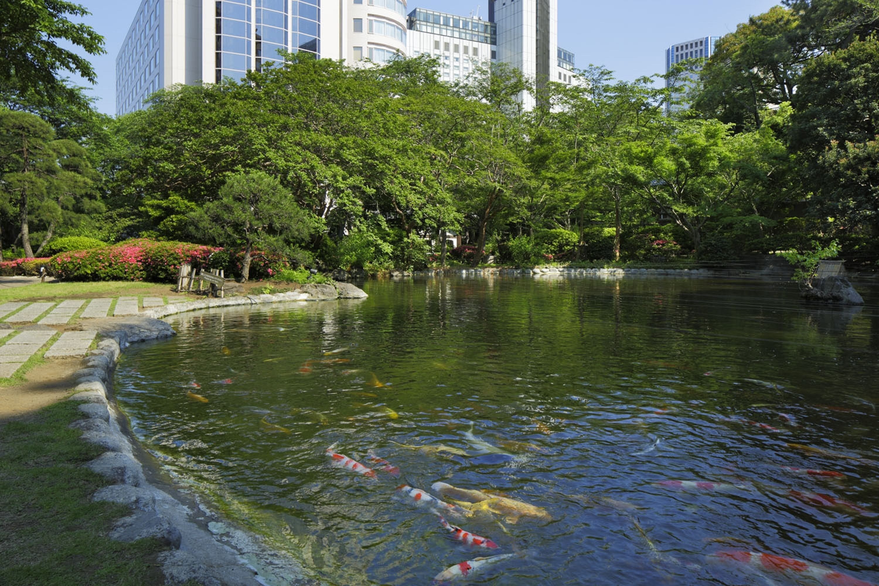 Foto - Grand Prince Hotel Takanawa