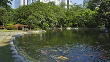 A serene park with a pond, koi fish, and lush greenery.