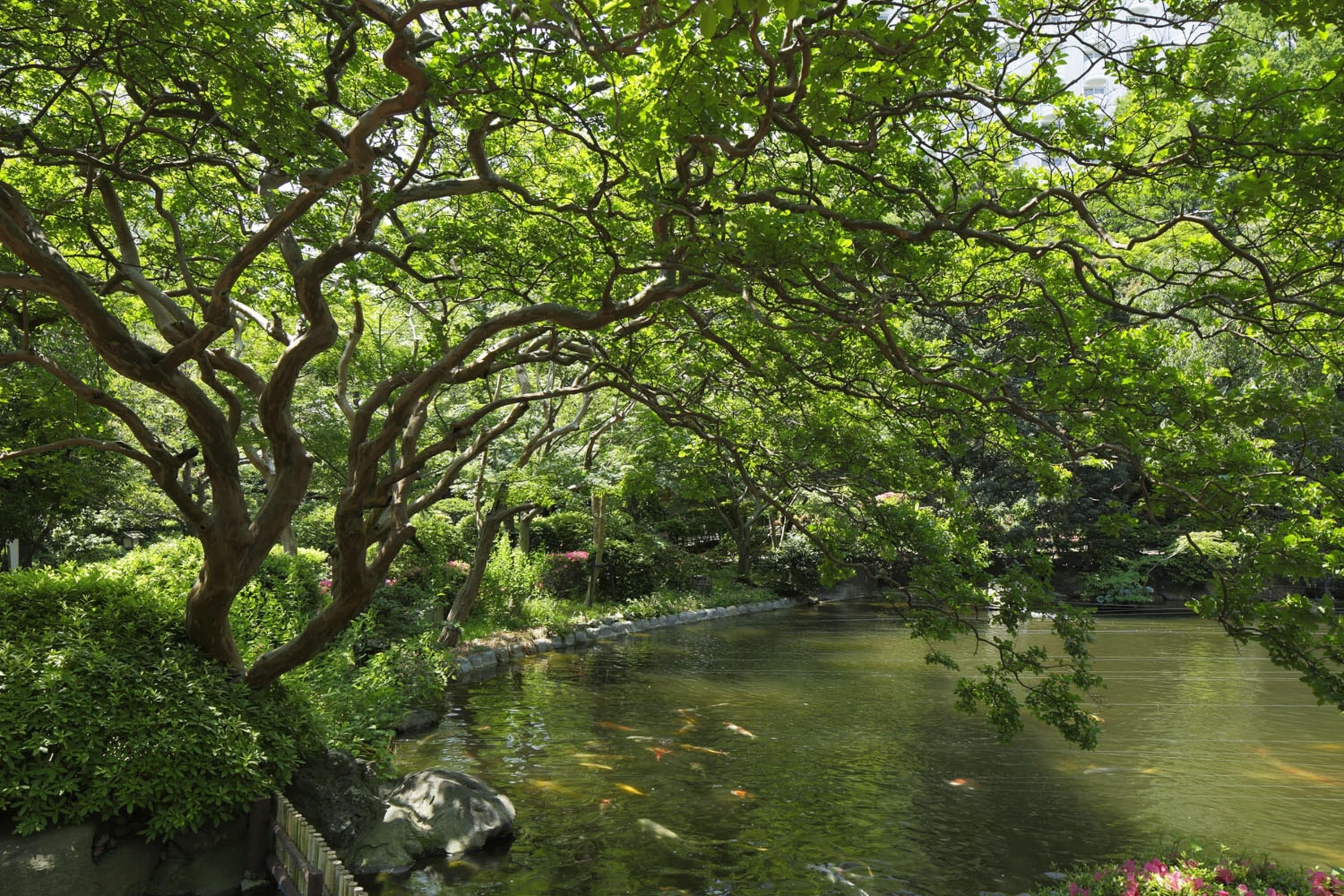 Photo - Grand Prince Hotel Takanawa