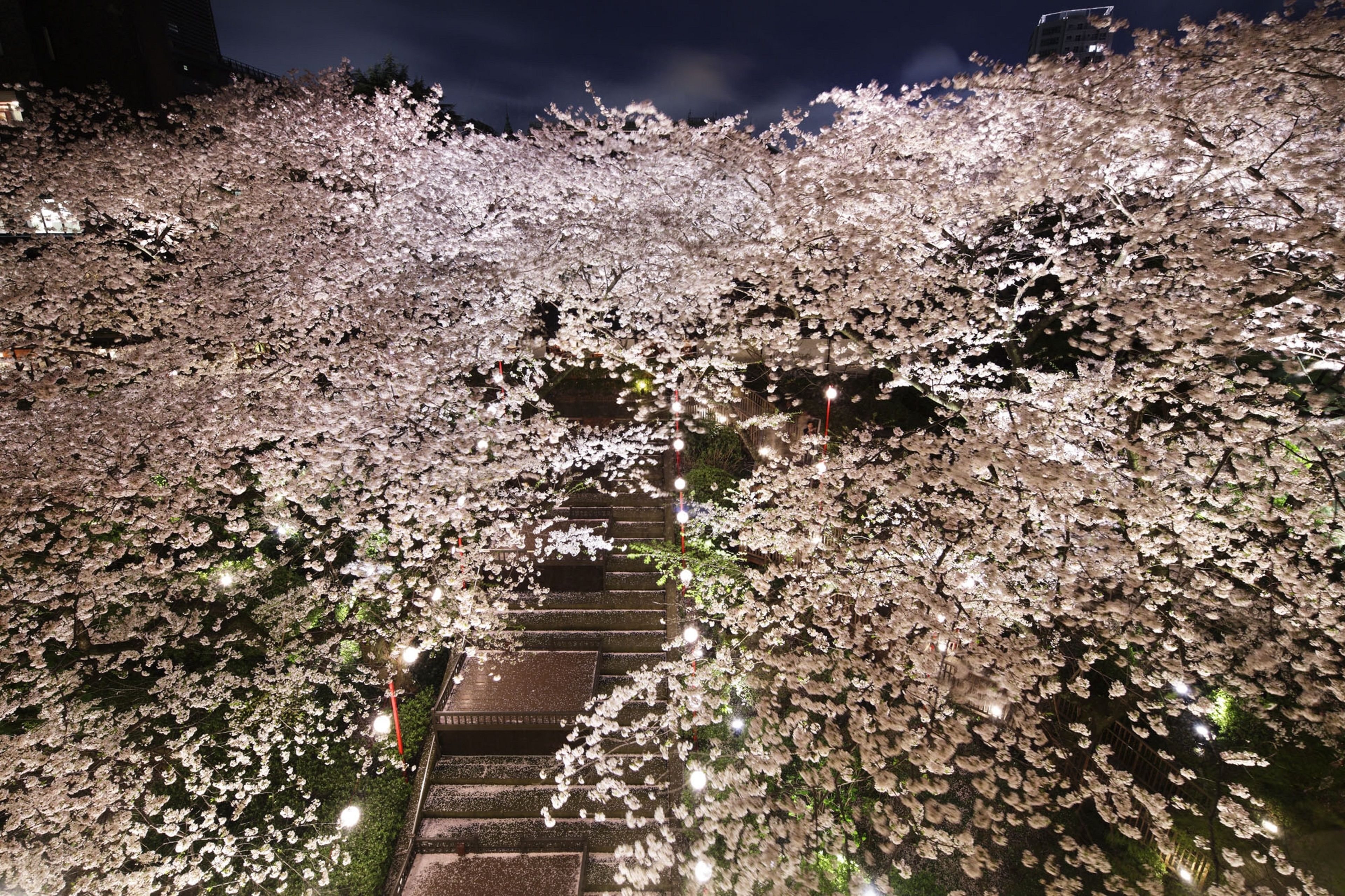 Photo - Grand Prince Hotel Takanawa
