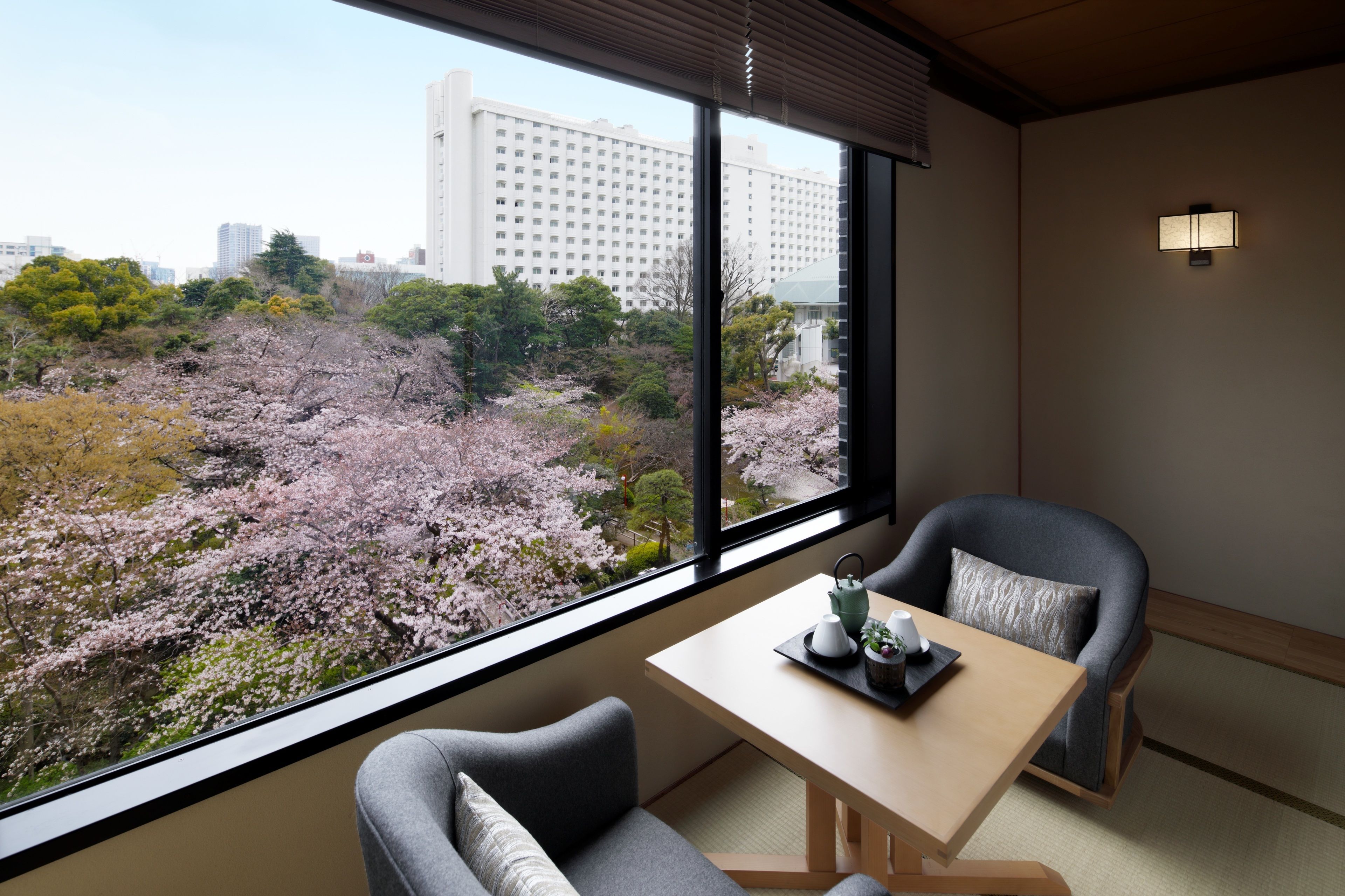 A room with a view of cherry blossoms, a table with a teapot, and two chairs.