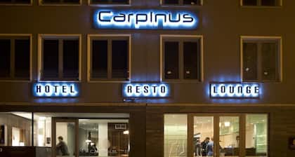 Hotel Carpinus