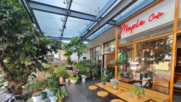 Un espacio al aire libre con plantas en macetas y un letrero de Maple Cafe.