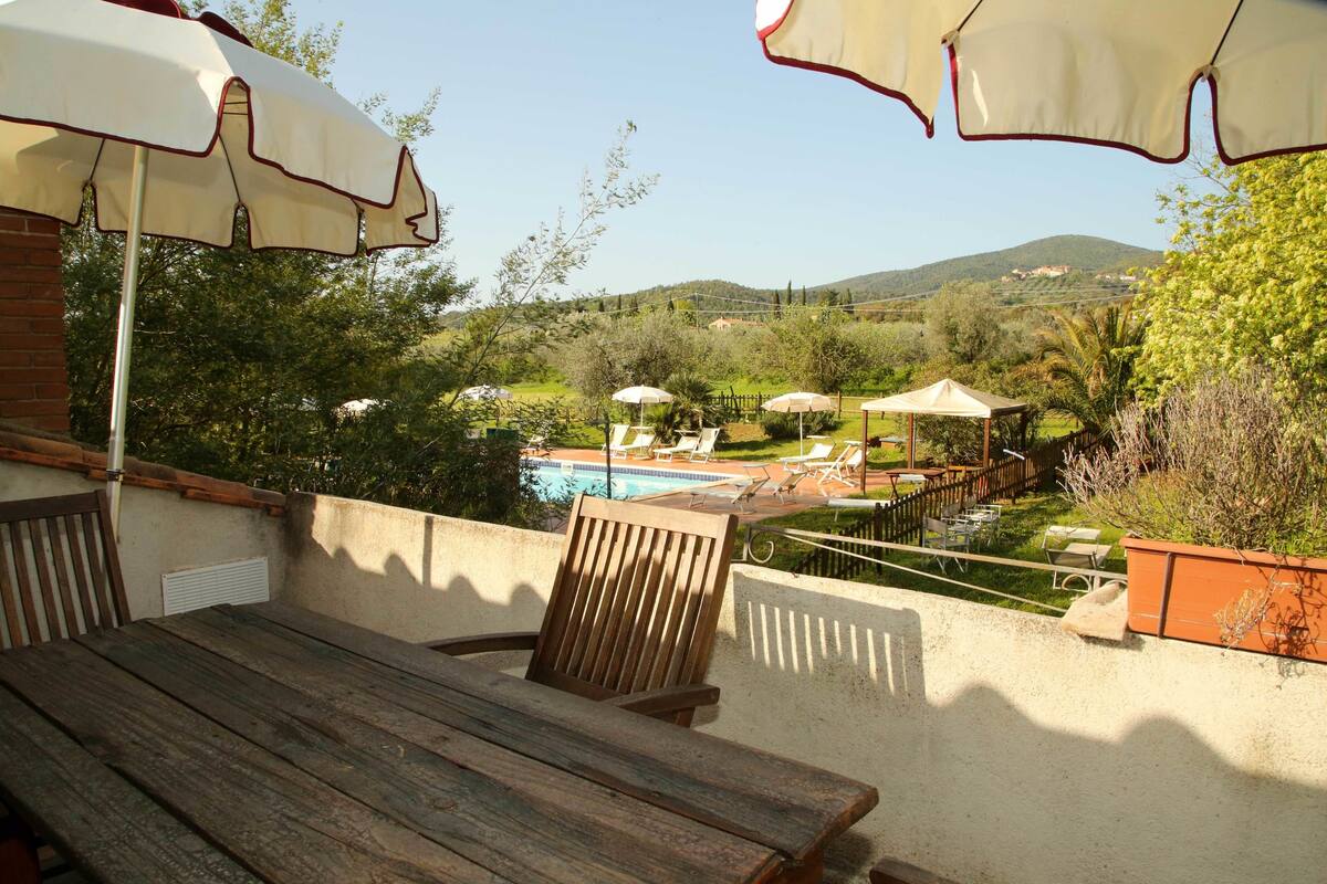 A patio with a wooden table and chairs, outdoor umbrellas, and a view of a swimming pool and garden.