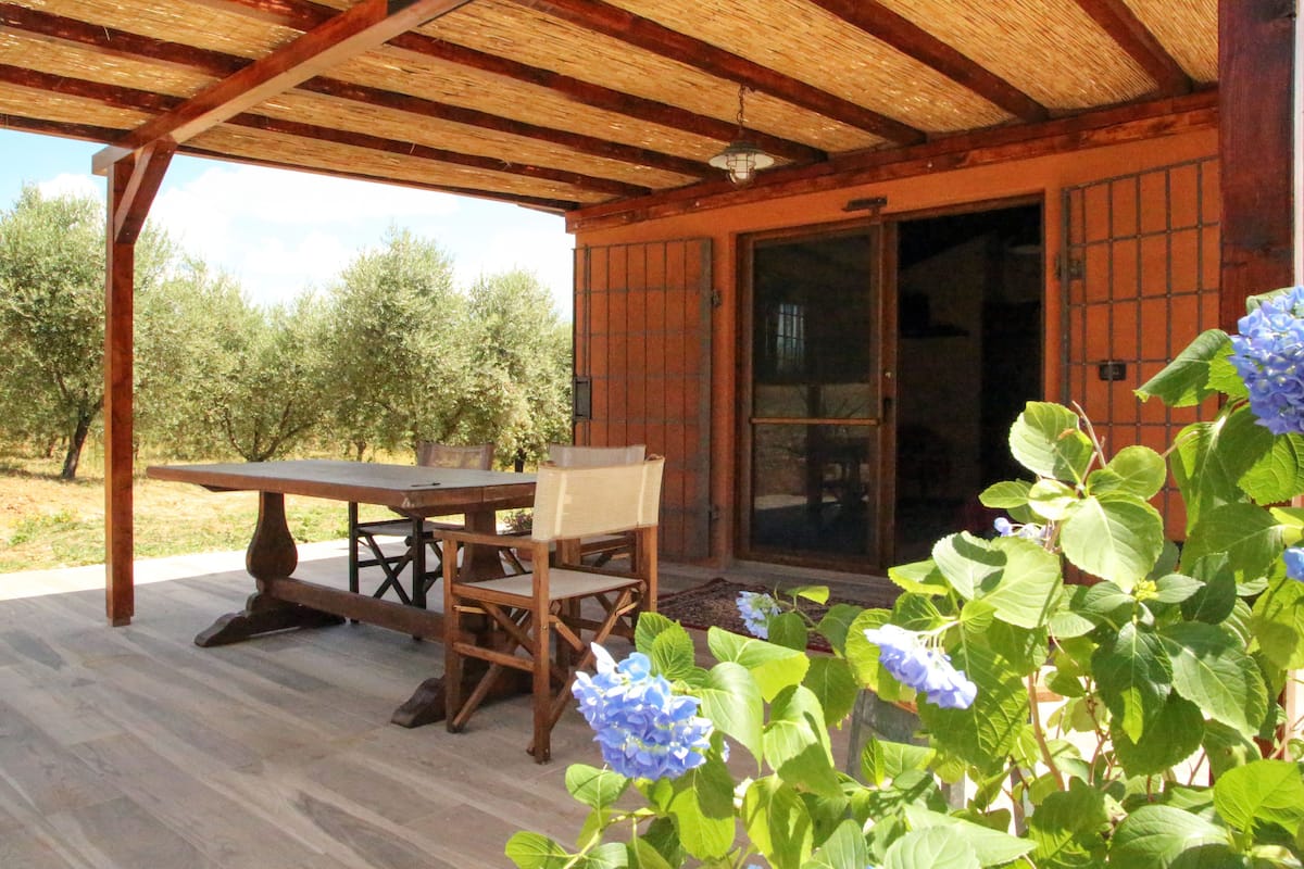 Classic Studio, Kitchen, Park View | Teres/patio